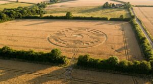 Aerial view of an intricate crop formation in a wheat field with visible edge tracks and hedgerow border.